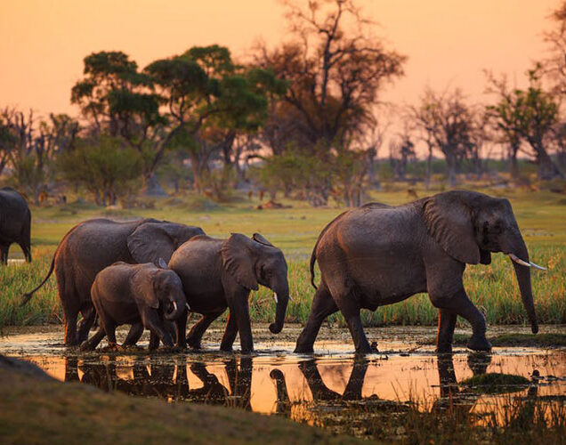 Tarangire National Park