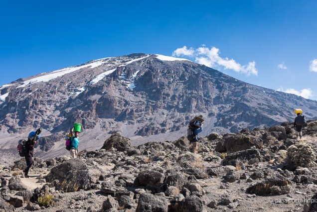 7 Days Lemosho route Mount Kilimanjaro Trekking