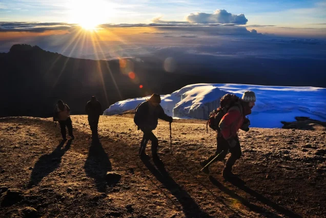 7 Day Kilimanjaro Marangu Trek and Serengeti-Ngorongoro-Tarangire Safari Experience