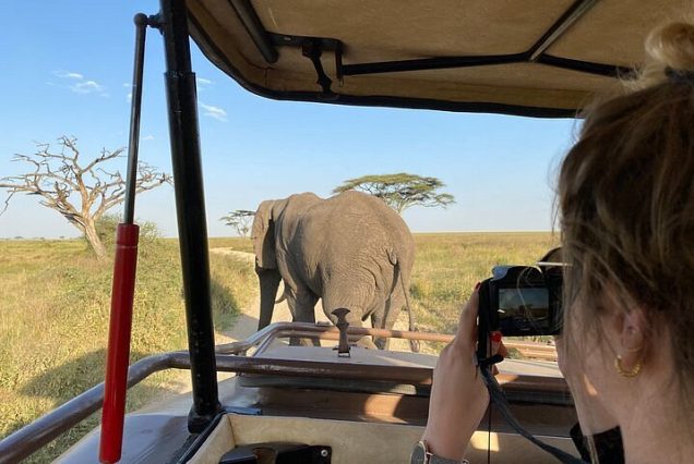 4 Days Luxury Wilderness Tanzania Safari